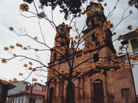Catedral Santa Cruz