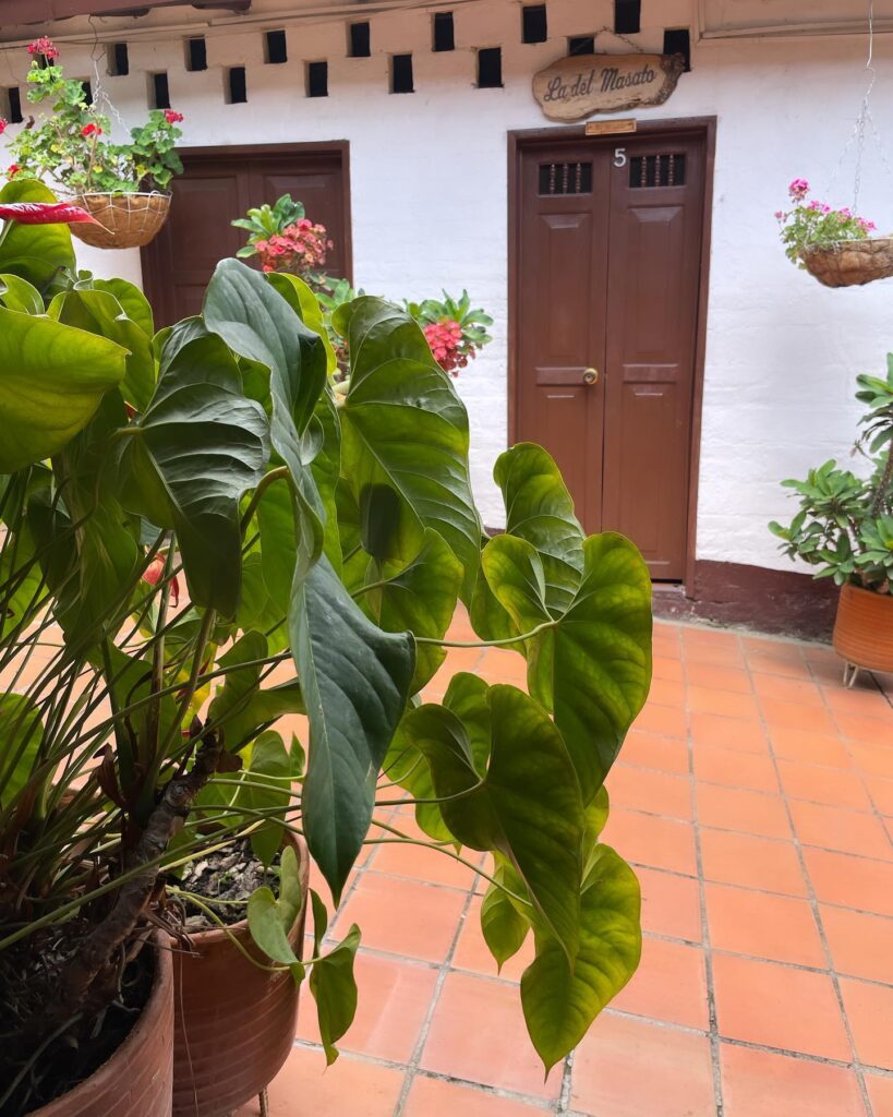 Casa Posada Don Chepe
