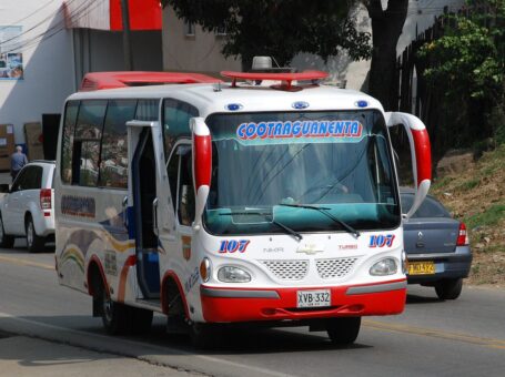 Cotraguanentá