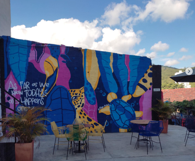 Trip Monkey hostel