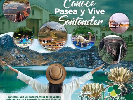 Redesa Tours
