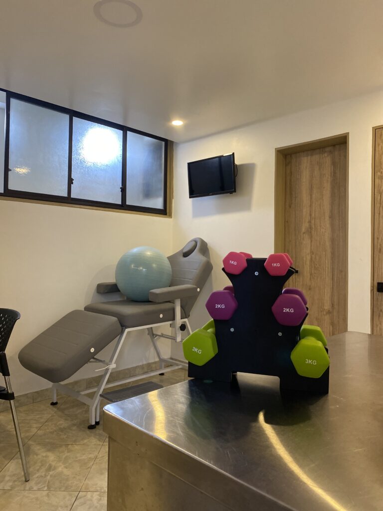 Fisioterapia Integral
